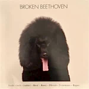 ÇEŞİTLİ SANATÇILAR - BROKEN BEETHOVEN