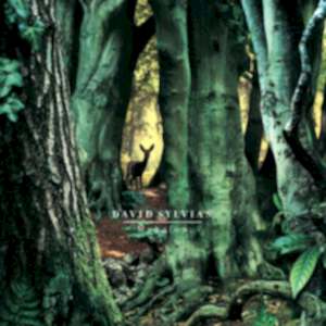 DAVID SYLVIAN - MANAFON
