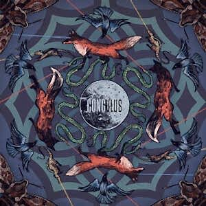 CONGULUS - BOZKIR