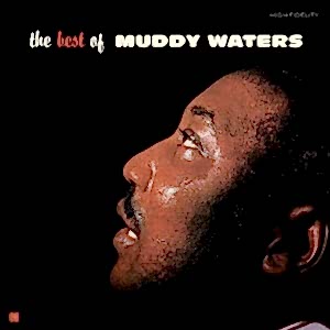 MUDDY WATERS - THE BEST OF MUDDY WATERS