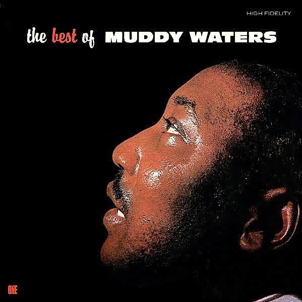 MUDDY WATERS - THE BEST OF MUDDY WATERS PLAK ÖN